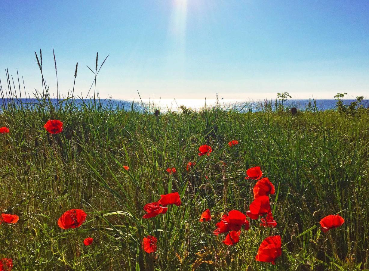 Strandresort Prora - Wg 114 Mit Meerblick Binz Dış mekan fotoğraf
